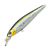  PONTOON 21 P21-SAU95F-SR-R30