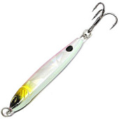  . RENEGADE Iron Minnow 12g  L065