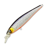  PONTOON 21 P21-SAU95F-SR-A11