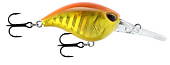  STORM GOMOKU Crank 38F /GFR