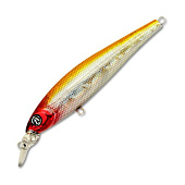  PONTOON 21 P21-SAU95F-SR-A15