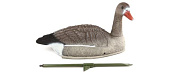 Чучело гуся Белолобый (съемная голова) Чучело гуся Белолобый (съемная голова)