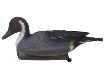 ������ EVA ����������-��������