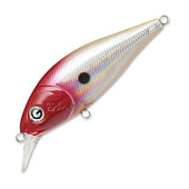  PONTOON 21, GOSH-70SP SR-002