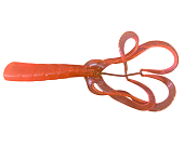  SPLIT DOUBLE TAIL 103 (. ) (. 6)