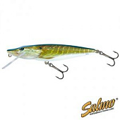  Salmo Pike 11F RPE 110 .