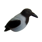 Чучело Ворона серая Чучело Ворона серая