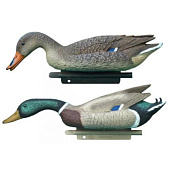 ������ ������ �������� �� 2-� ���� FE1000SF