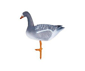 Чучело гуся Белолобый прямосмотрящий (ППУ)  Чучело гуся Белолобый прямосмотрящий (ППУ)