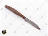 ��� ����� �26 ����� �10�-7��� ���������