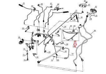 ���� ������ ����� ����� (L31100310)