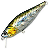  PONTOON 21 P21-KAL-82SP-SR-R30
