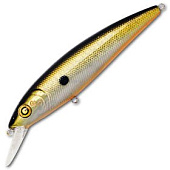  PONTOON 21 P21-BON-105F-SR-006