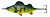  . Effzett Perch Spoon 62 - Fire Perch UV 66671