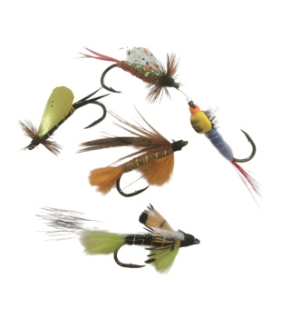 ����� �������� (������ ������) �������