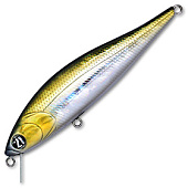  PONTOON 21 P21-BAM-102F-SR-R30
